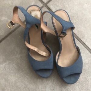 Blue Block Heel Suede Heels with Ankle Strap